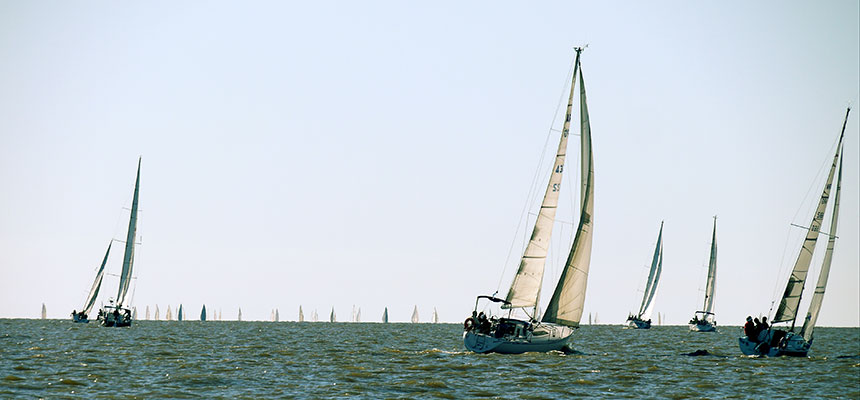 regata01