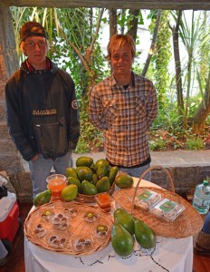 Los creadores de Paltas del Este