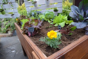 Mucho verde en Floreal Market