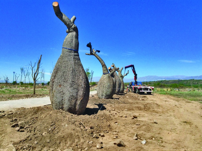 Parque del Bicentenario Salta
