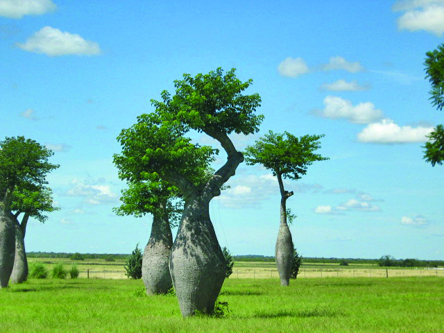 Estancia el Malagueño