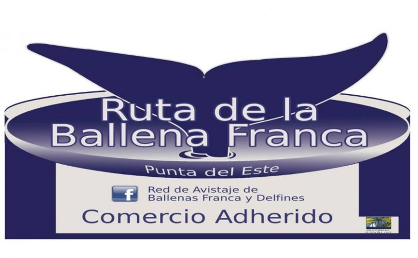 Calcomanía de la Ruta de la Ballena Franca, un modo de concientizar sobre la importancia de cuidar y preservar a estos mamíferos que año a año llegan a nuestras costas.