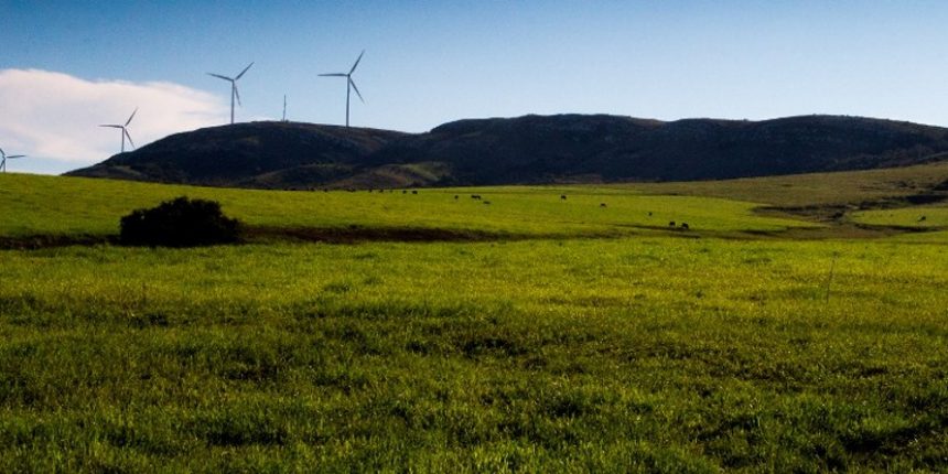 La carne es el principal rubro de exportación uruguaya...
