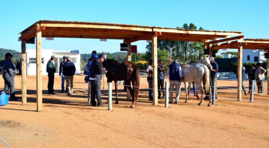 phoca_thumb_l_slider_13